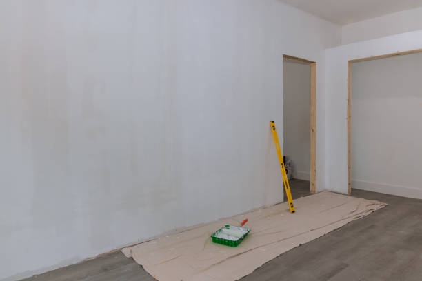 Forensic Mold Investigation in Marks, MS