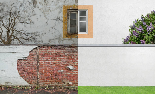 Best Emergency Mold Remediation  in Marks, MS